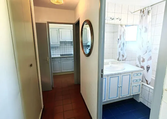 T3 A Cap D'agde Avec Piscine, A 30m Pour 6 Pers. - Fr-1-607-82 Apartament *